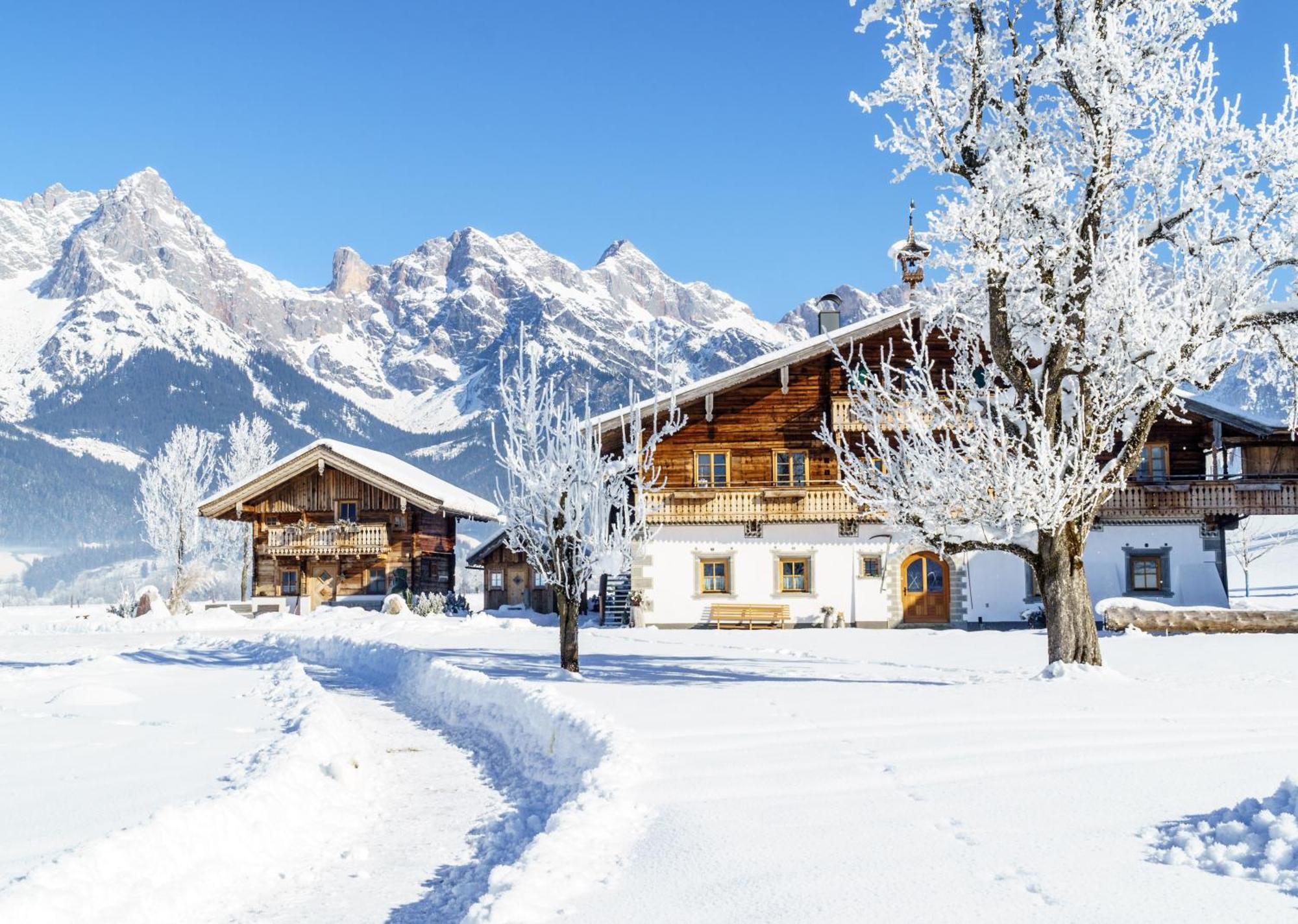 Appartement Hoferbichlgut à Saalfelden Extérieur photo