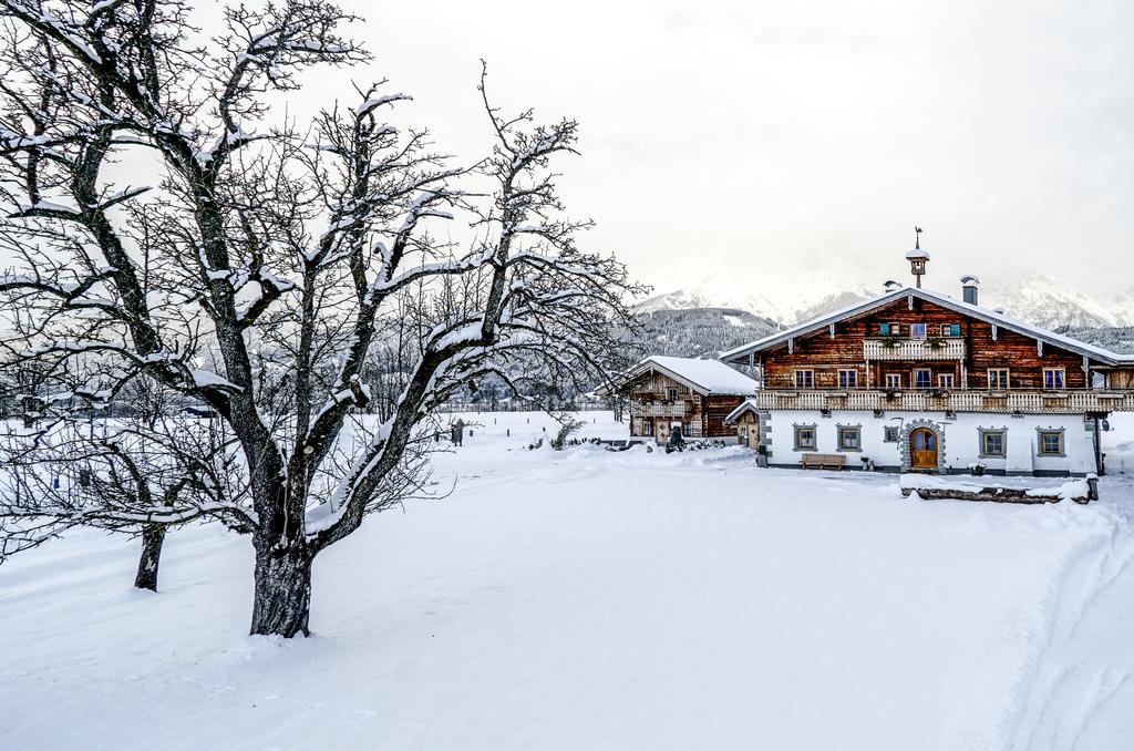 Appartement Hoferbichlgut à Saalfelden Extérieur photo